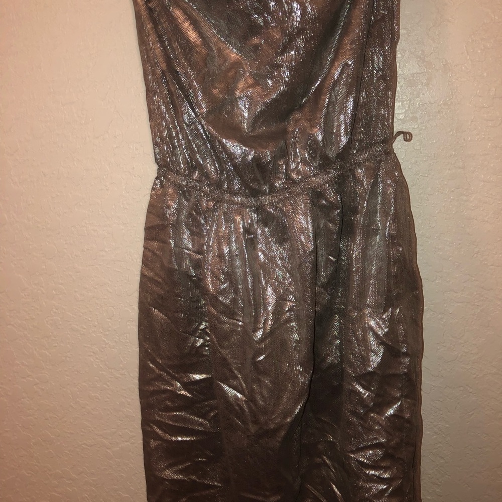 Silver Dress